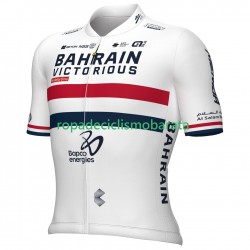Maillot Manga Corta Team Bahrain Victorious 2024 Hombres N001