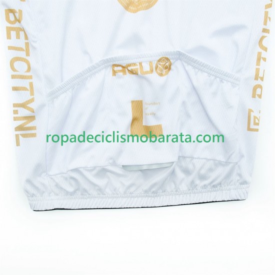 Chaleco visma lease a bike 2025 Hombres N001