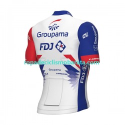 Maillot Manga Corta 2022 Groupama-FDJ Hombres N001
