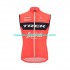Chaleco 2022 Trek-Segafredo Hombres N005