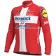 Maillot Manga Larga 2021 Deceuninck–Quick-Step M007