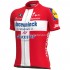 Maillot Manga Corta 2021 Deceuninck–Quick-Step M007